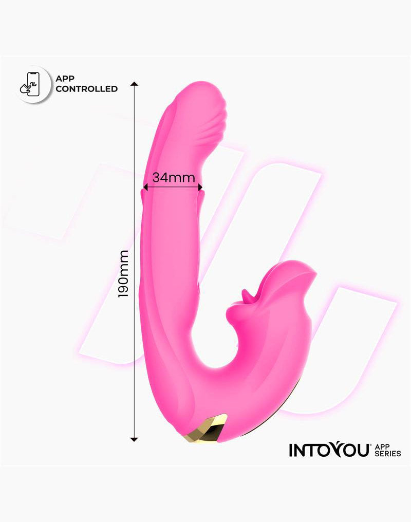 IY – Bimby