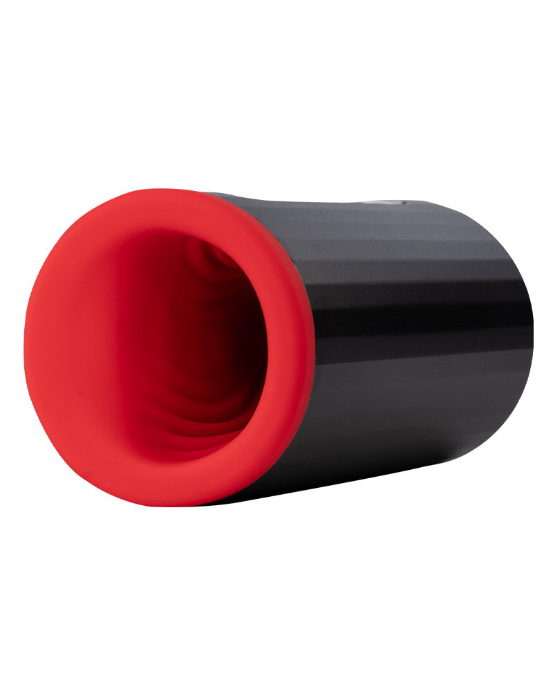 LELO - F1S V3