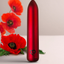Rocks-Off – Bullet Vibrador Recargable – Mohnrot