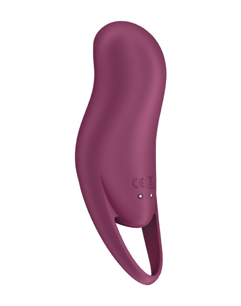 Saisfyer - Pocket Pro 1