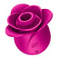 Satisfyer - Pro 2 Modern Blossom