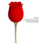 Pretty Love Rose Lover
