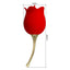 Pretty Love Rose Lover