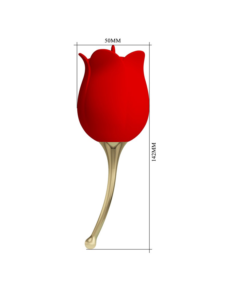 Pretty Love Rose Lover