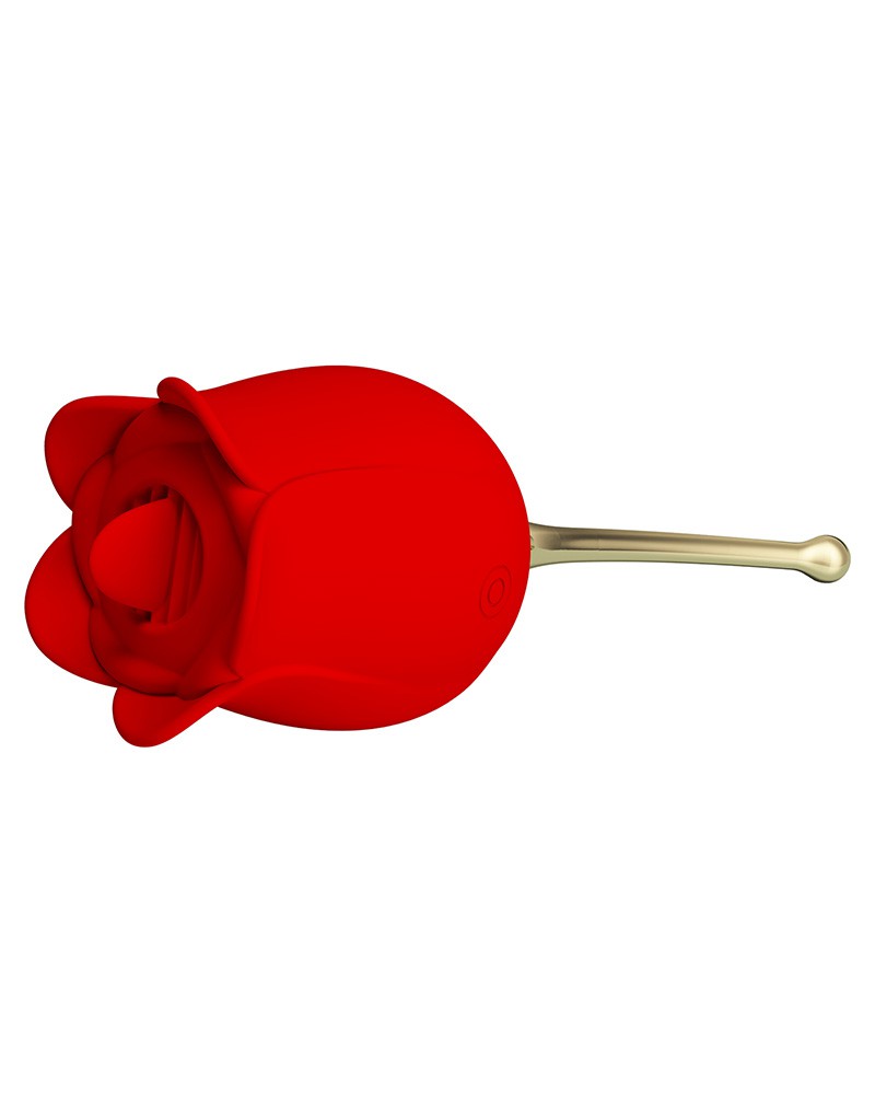 Pretty Love Rose Lover