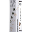 7" Model 1 Real Skin – Dildo realista