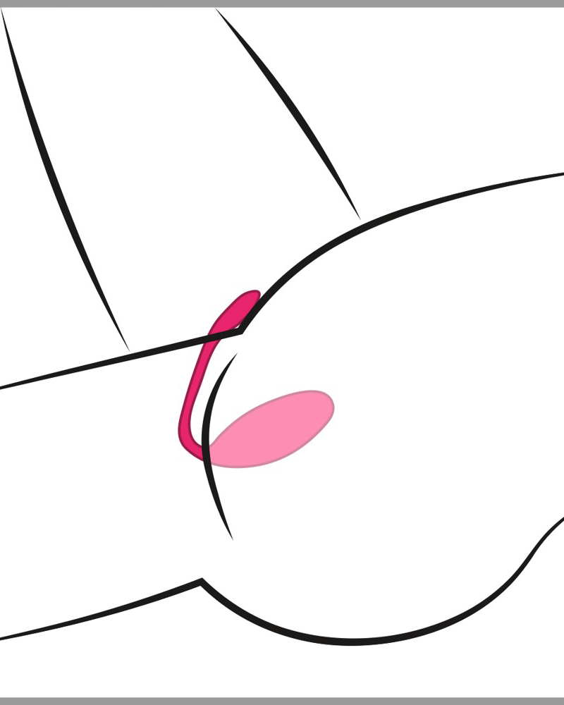 Lovense Lush 3